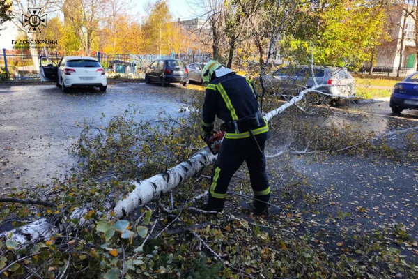 На Дніпропетровщині ліквідовують наслідки негоди
