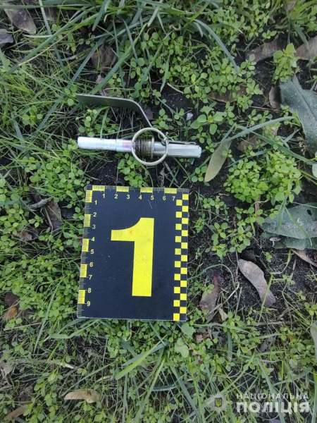 В Днепре за покушение на убийство задержали двух братьев