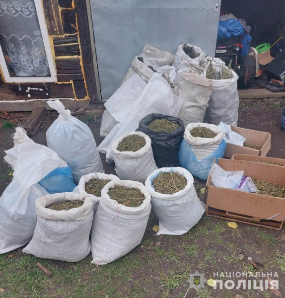 Правоохоронці Дніпропетровщини викрили розгалужену мережу продажу канабісу: вилучено понад 100 кг сушених рослин