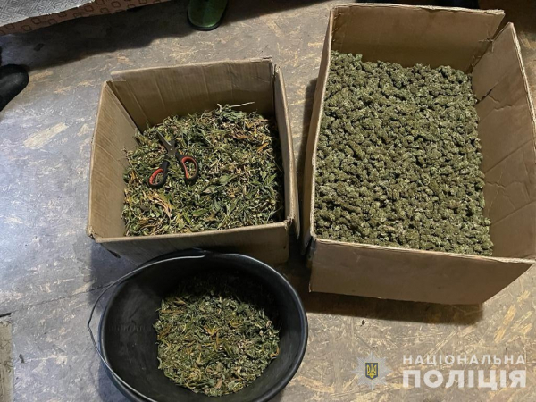 Правоохоронці Дніпропетровщини викрили розгалужену мережу продажу канабісу: вилучено понад 100 кг сушених рослин
