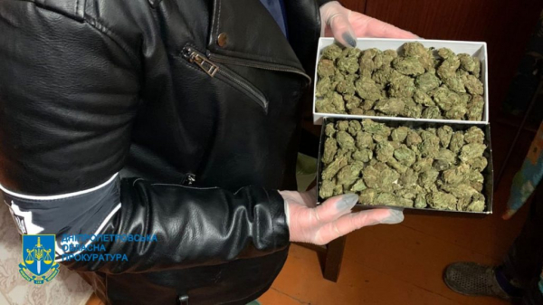 Правоохоронці Дніпропетровщини викрили розгалужену мережу продажу канабісу: вилучено понад 100 кг сушених рослин