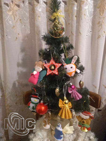 Новогодние ёлочки работников МИС ТВ: фоторепортаж