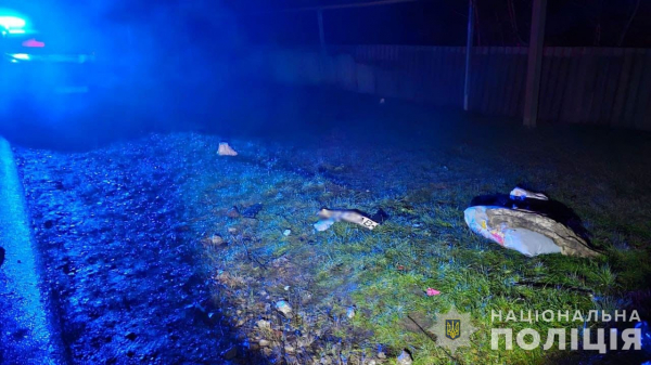 В Камянском районе водитель сбил двоих детей