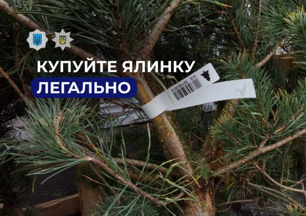В Каменском стартовал елочный марафон