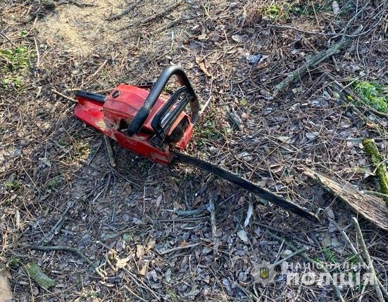 В Днепропетровской области незаконно вырубали лес