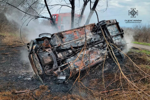 На Нікопольщині легковик зіткнувся з деревом, перекинувся і спалахнув