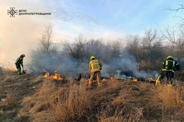 За добу на Дніпропетровщині згоріло понад 60 гектарів сухої рослинності
