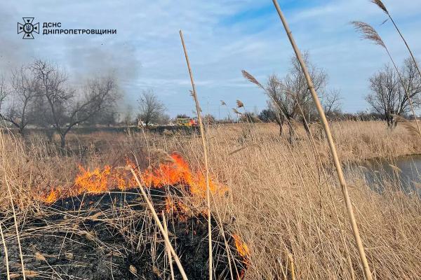 За добу на Дніпропетровщині згоріло понад 60 гектарів сухої рослинності