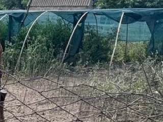 Протягом дня ворог тероризував громади Нікопольщини, постраждав чоловік