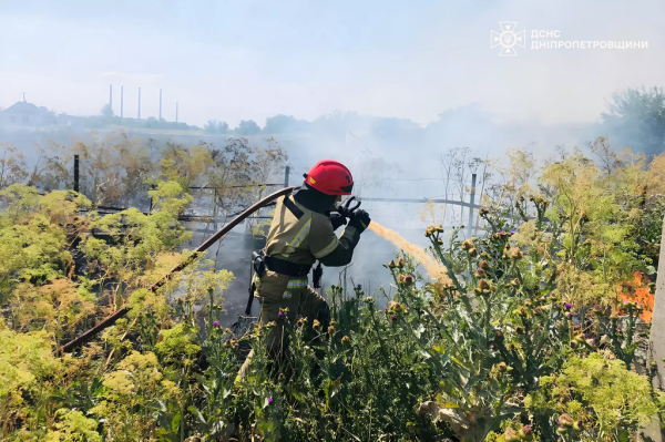 На Дніпропетровщині за добу ліквідували 82 пожежі в екосистемах