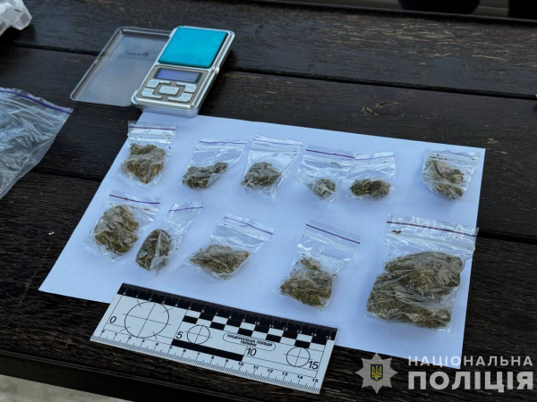 Трьох мешканців Дніпропетровщини затримали за організацію каналу постачання наркотиків на Закарпаття