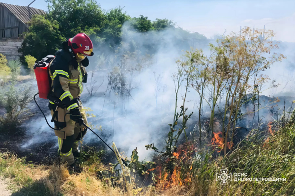 На Дніпропетровщині за добу ліквідували 82 пожежі в екосистемах