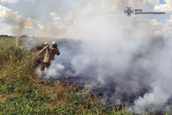 За добу на Дніпропетровщині ліквідували 41 загорання на відкритих територіях