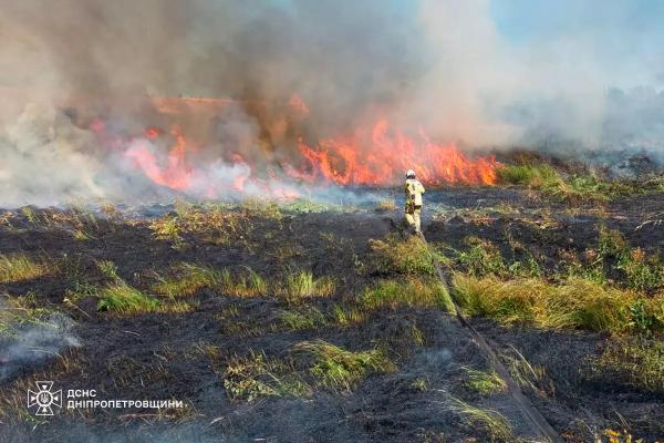 На Дніпропетровщині за добу вогонь знищив понад 44 гектари природних екосистем