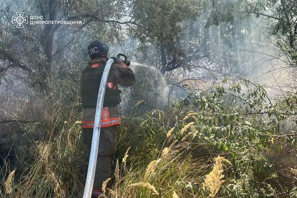 За добу на Дніпропетровщині ліквідували 64 займання в екосистемах
