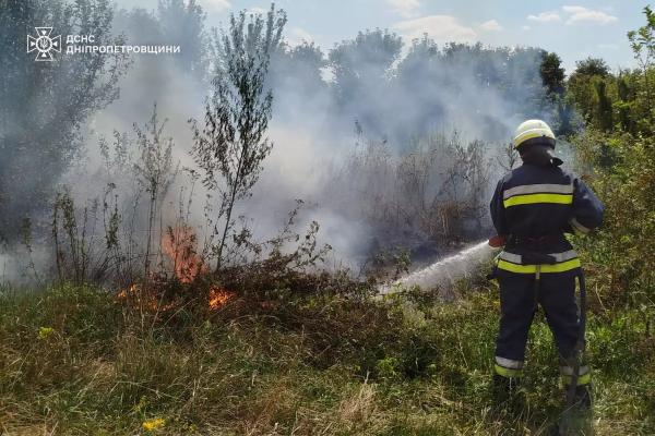 За добу на Дніпропетровщині ліквідували 64 займання в екосистемах