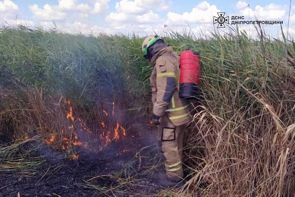 За добу на Дніпропетровщині ліквідували 41 загорання на відкритих територіях