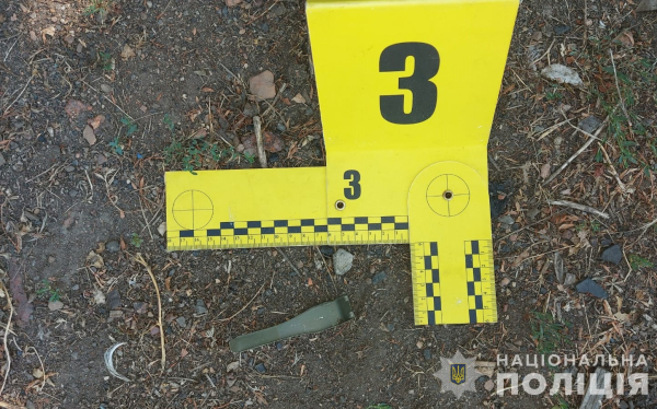 На Синельниківщині чоловік кинув гранату на подвір&rsquo;я колишньої співмешканки