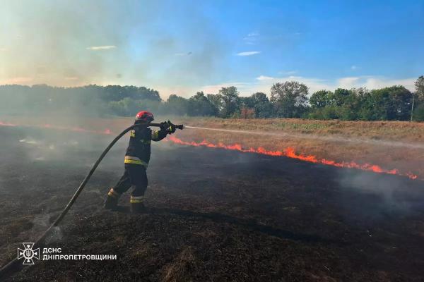 На Дніпропетровщині за добу ліквідували 79 пожеж в екосистемах