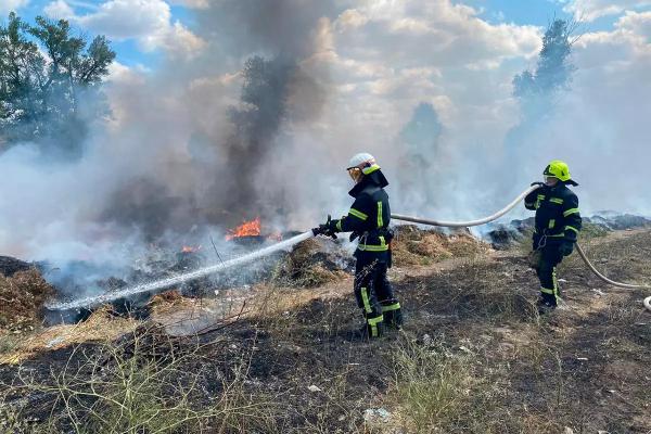 На Дніпропетровщині за добу ліквідували 79 пожеж в екосистемах