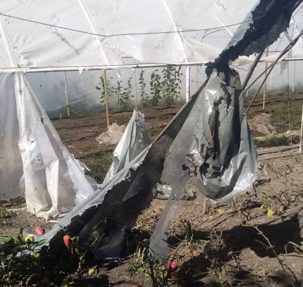 Понад десять разів протягом дня ворог атакував Нікопольщину