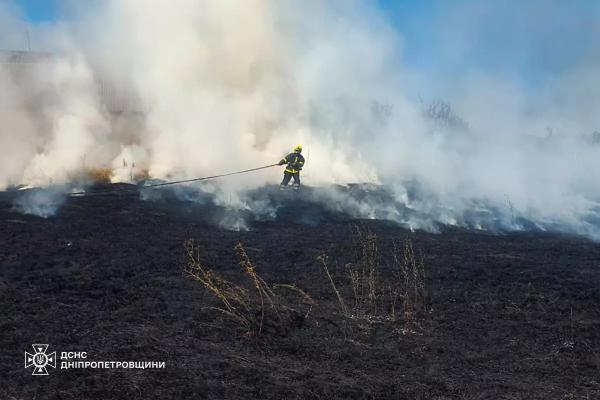 На Дніпропетровщині за добу вогонь знищив понад 44 гектари природних екосистем