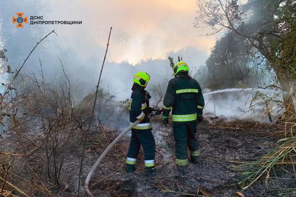 За добу на Дніпропетровщині вогонь знищив понад 109 га природних екосистем