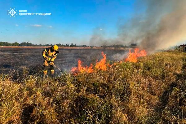 На Дніпропетровщині за добу вогонь знищив понад 44 гектари природних екосистем