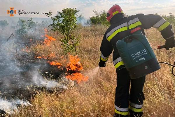 За добу на Дніпропетровщині вогонь знищив понад 109 га природних екосистем