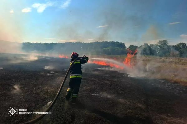 На Дніпропетровщині за добу ліквідували 79 пожеж в екосистемах