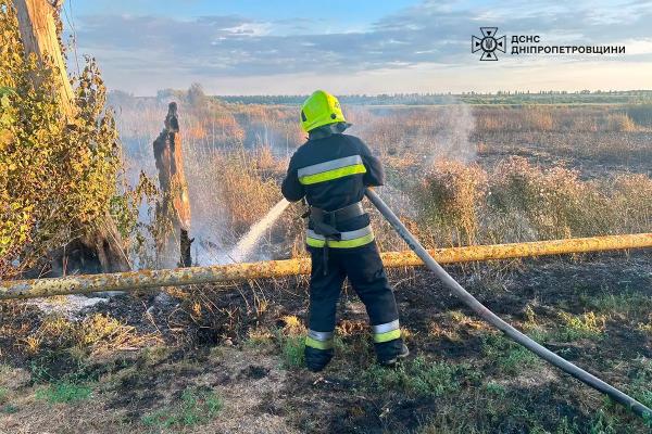 За добу на Дніпропетровщині ліквідували 41 загорання на відкритих територіях