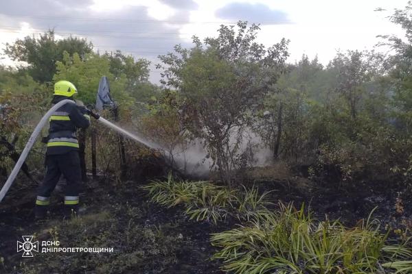 За добу на Дніпропетровщині ліквідували 64 займання в екосистемах