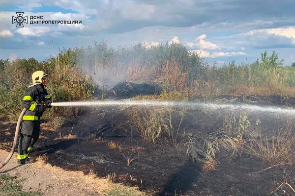 За добу на Дніпропетровщині ліквідували 41 загорання на відкритих територіях