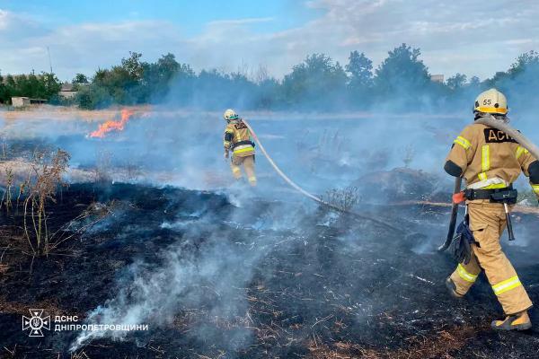 На Дніпропетровщині за добу ліквідували 79 пожеж в екосистемах