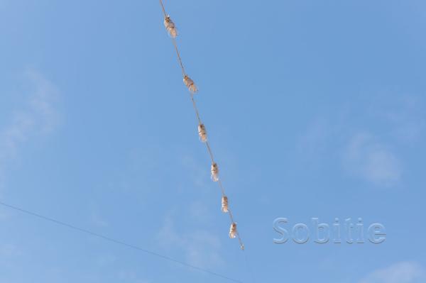 На лівобережній набережній у Кам’янському стало світліше На лівобережній набережній у Кам’янському стало світліше