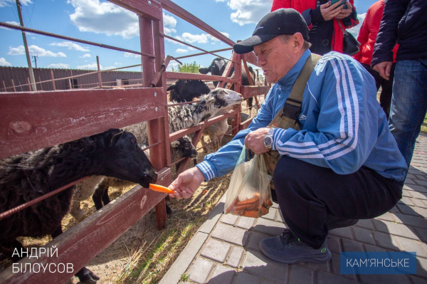 У Кам&rsquo;янському для ветеранів та їхніх родин організували відпочинок на кінній фермі