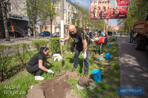 На майдані Героїв у Кам&rsquo;янському висадили горобину