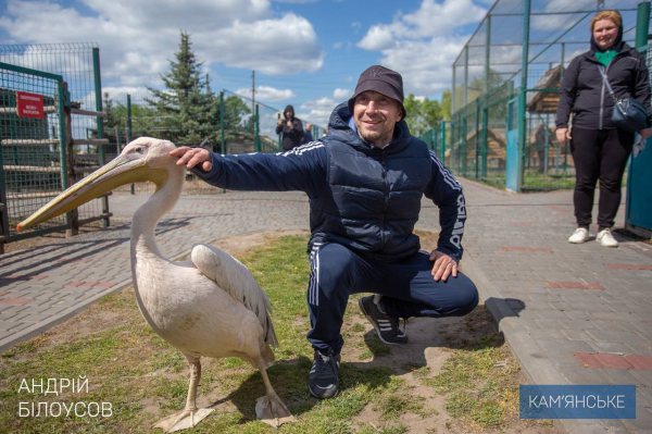 У Кам&rsquo;янському для ветеранів та їхніх родин організували відпочинок на кінній фермі