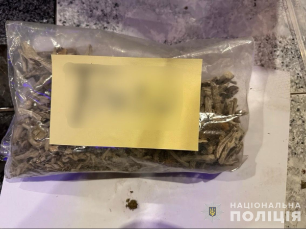 У 19-річного криворіжця вилучили канабісу на 200 тисяч гривень