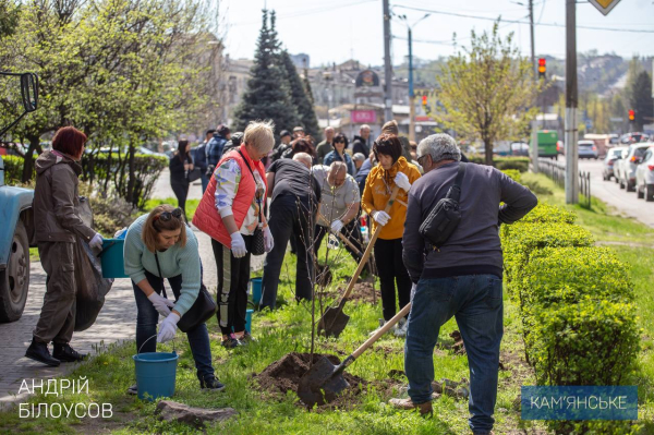 На майдані Героїв у Кам&rsquo;янському висадили горобину