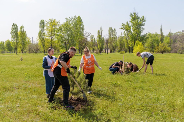 На Дніпробудівському пляжі у Кам&rsquo;янському висадили молоді дерева