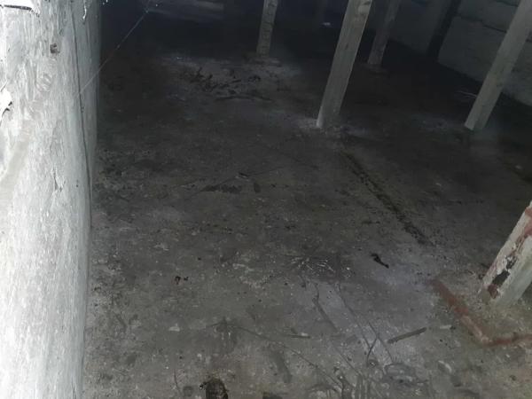 В історичному районі Кам&rsquo;янського продають велетенське овочесховище