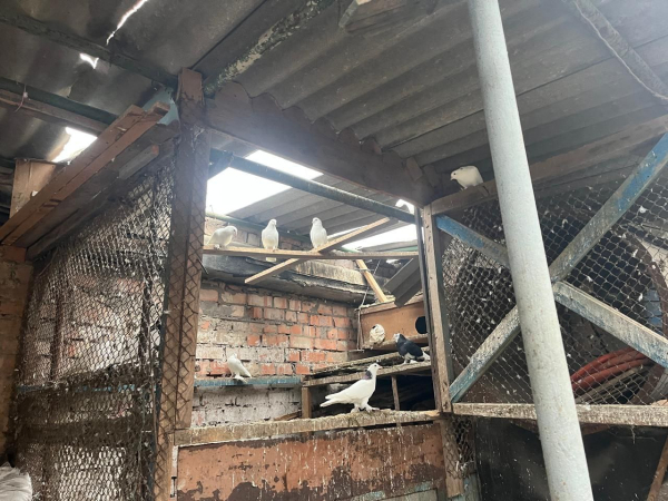 Протягом дня ворог атакував Нікопольщину, люди не постраждали