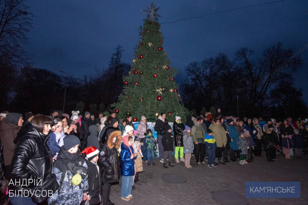 У Кам&rsquo;янському відкрили міську новорічну ялинку
