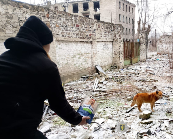 У Кам’янському врятували дитину та тварин із даху занедбаної будівлі У Кам’янському врятували дитину та тварин із даху занедбаної будівлі