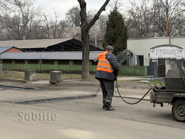 У Кам&rsquo;янському розпочали асфальтування дороги на проспекті Відродження